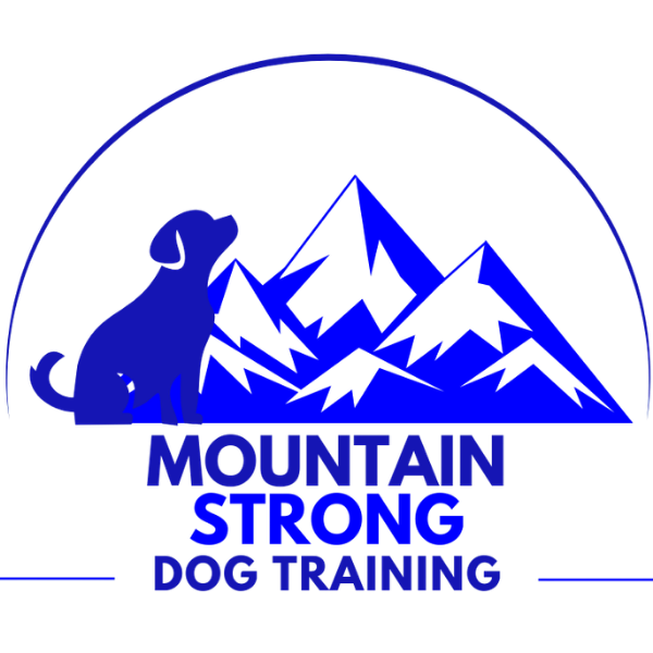 Mountain Strong Dog Training logo: a dog sitting beside snow-capped mountains